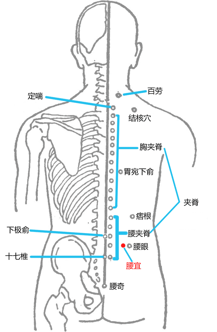 腰宜