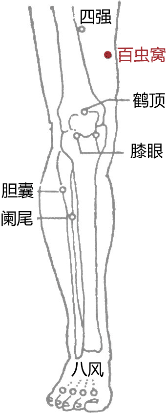 百虫窝