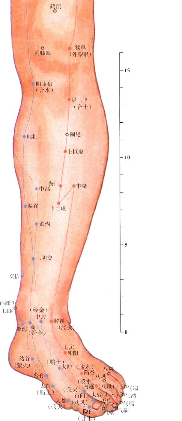 下巨虚