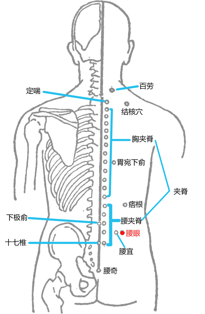 腰眼